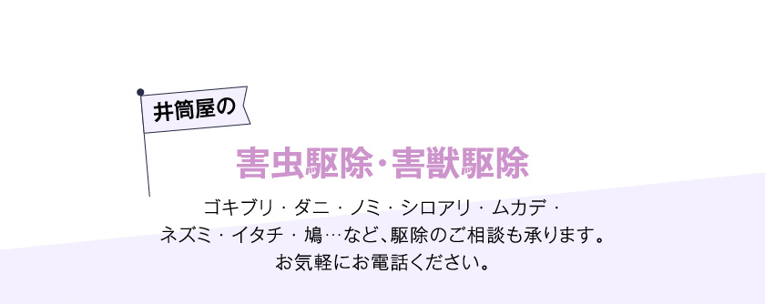 井筒屋の害虫駆除･害獣駆除　ゴキブリ・ダニ・ノミ・シロアリ・ムカデ・ネズミ・イタチ・鳩…など、駆除のご相談も承ります。お気軽にお電話ください。